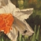 Black Beetle and Daffodil •  Acrylic on Canvas • 5 X 7 inches • PRIVATE COLLECTION